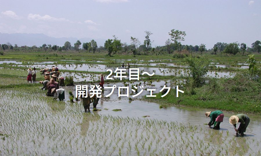 開発プロジェクト