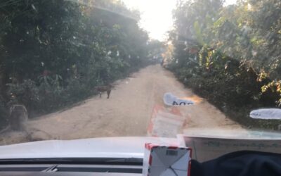 悪路の長時間移動は重労働